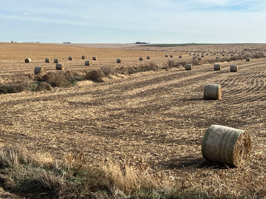 Notes from the heartland (Part 4:&nbsp;Nebraska)