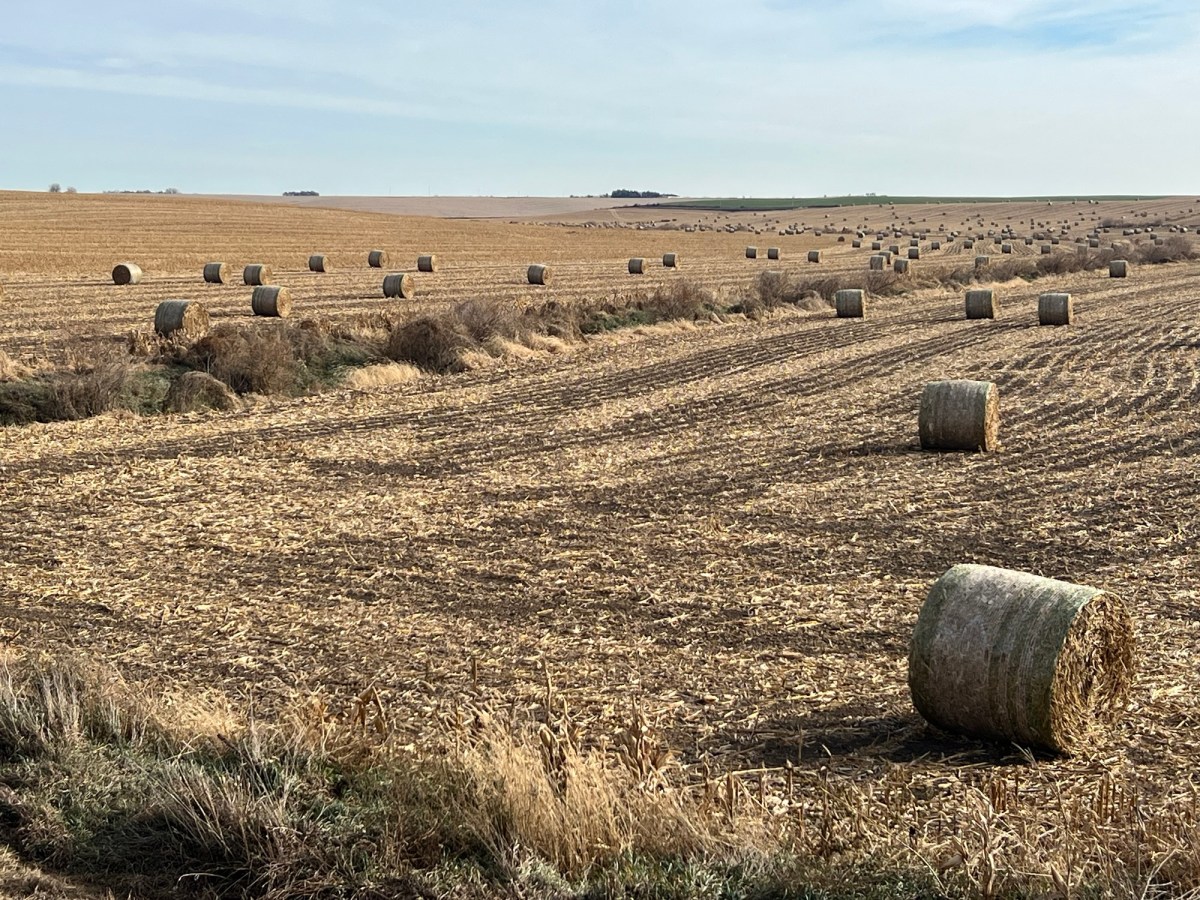 Notes from the heartland (Part 4:&nbsp;Nebraska)