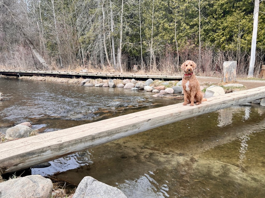 The search for the source (part&nbsp;2)